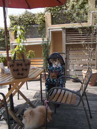 20120402_14.jpg