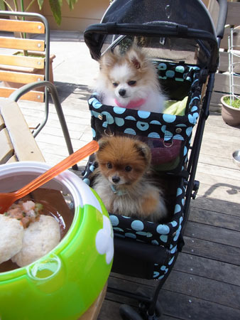 20120402_15.jpg