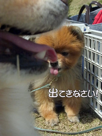 20120402_17.jpg