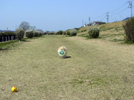 20120402_18.jpg