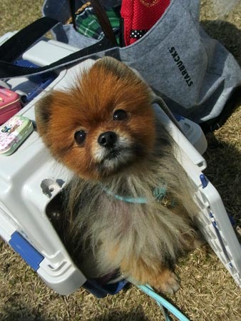 20120402_19.jpg
