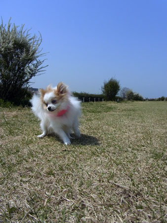 20120402_2.jpg