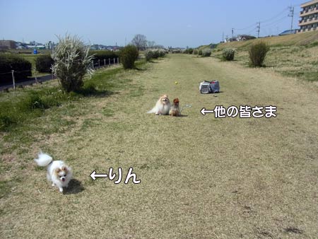 20120402_20.jpg