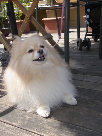 20120402_22.jpg