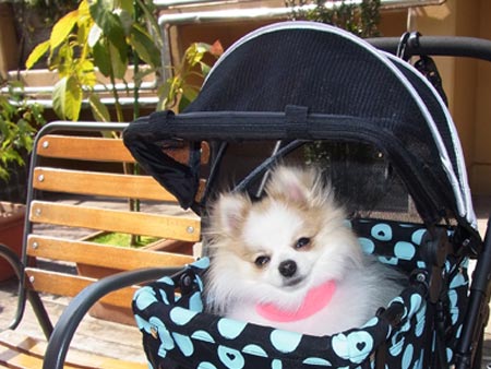 20120402_23.jpg