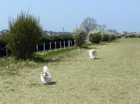 20120402_3.jpg