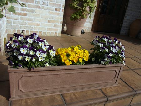 20120402_4.jpg