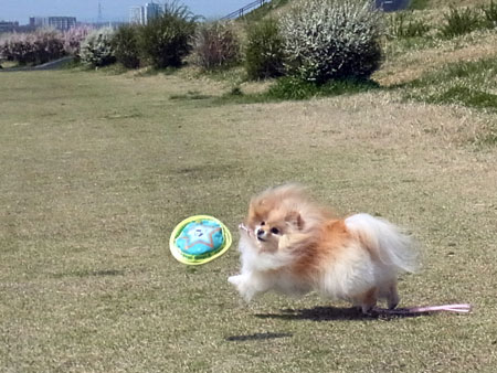 20120402_5.jpg
