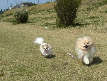 20120402_6.jpg
