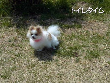 20120402_7.jpg