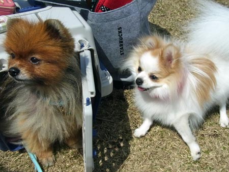 20120402_9.jpg
