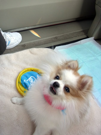 20120411_16.jpg
