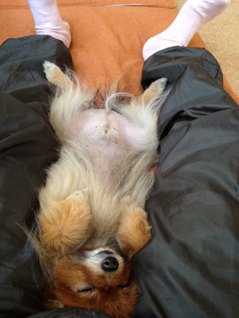 20120411_19.jpg