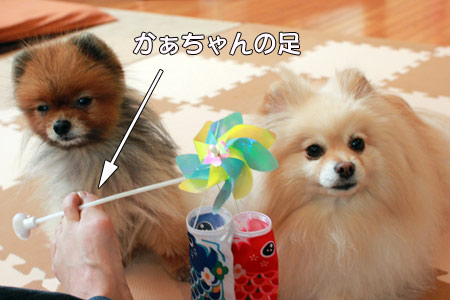 20120411_20.jpg