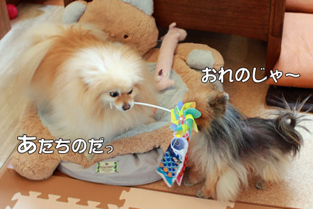 20120411_21.jpg
