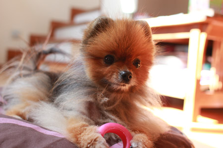 20120411_5.jpg