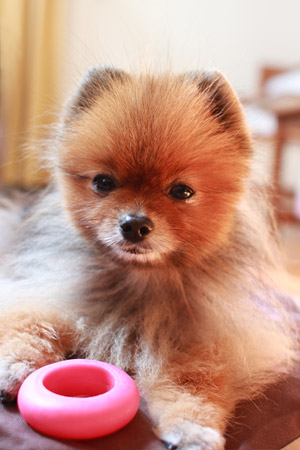 20120411_6.jpg