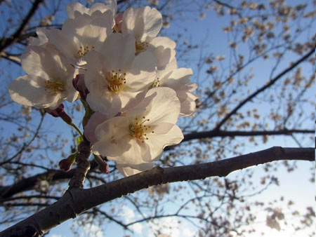 20120411_9.jpg
