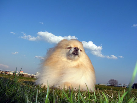 20120411_910.jpg