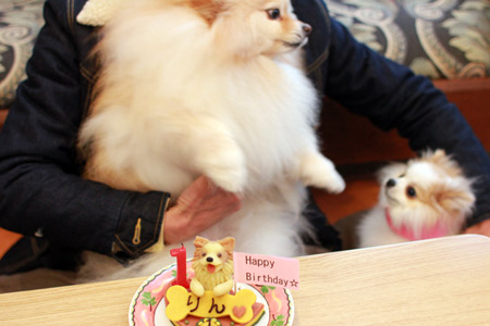 20120412_11.jpg