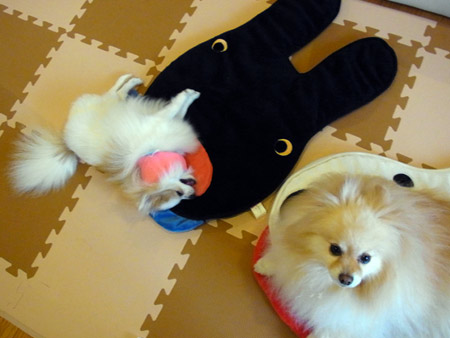 20120412_13.jpg
