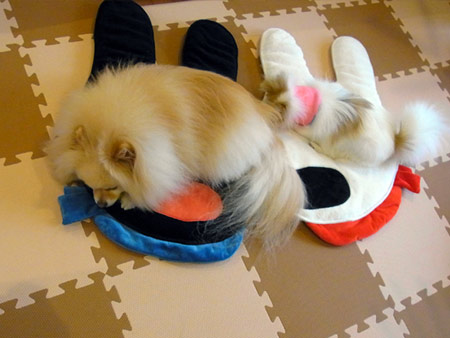 20120412_14.jpg