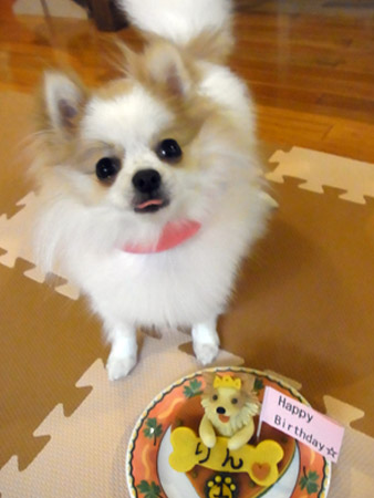 20120412_5.jpg