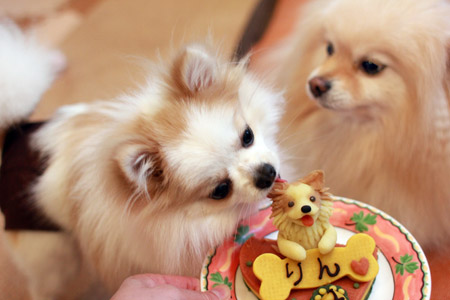 20120412_6.jpg