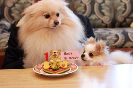 20120412_7.jpg