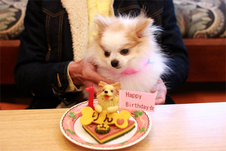 20120412_8.jpg
