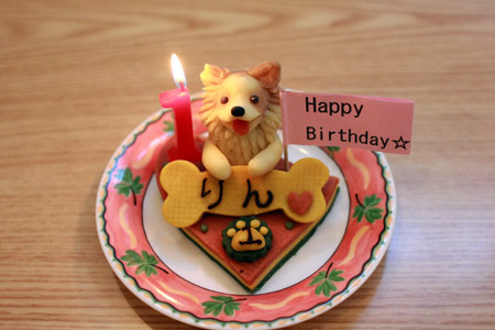 20120412_9.jpg