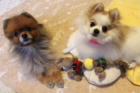20120414_1.jpg