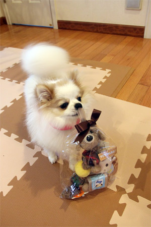 20120414_10.jpg