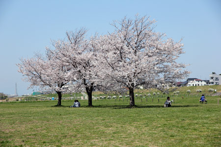 20120414_16.jpg