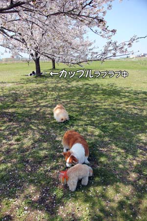 20120414_17.jpg