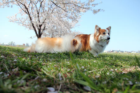 20120414_18.jpg