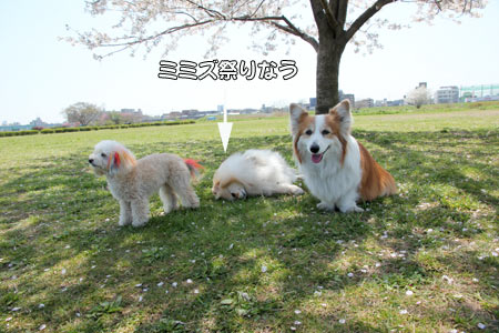 20120414_19.jpg