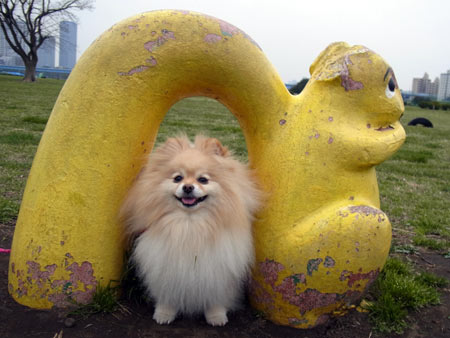 20120414_2.jpg