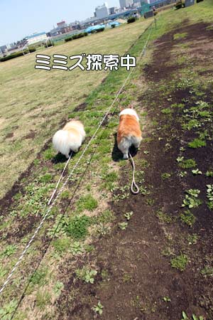 20120414_20.jpg
