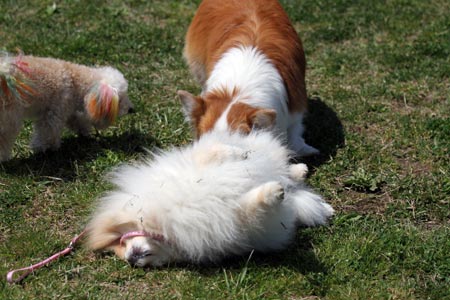 20120414_22.jpg