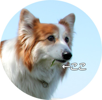 20120414_23.jpg