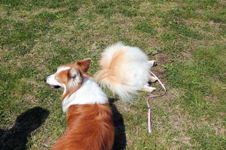20120414_24.jpg