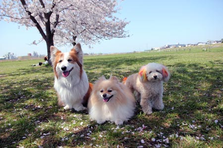 20120414_25.jpg