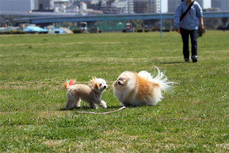 20120414_27.jpg