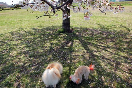 20120414_29.jpg