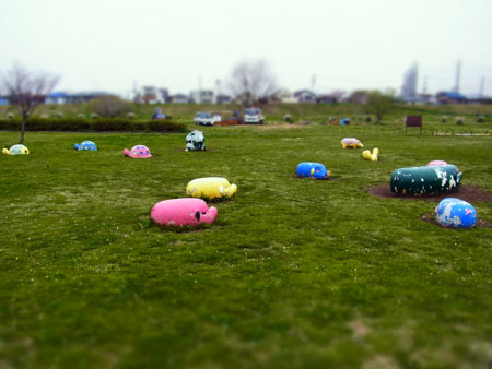20120414_3.jpg