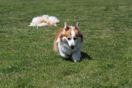 20120414_30.jpg