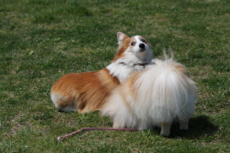 20120414_31.jpg