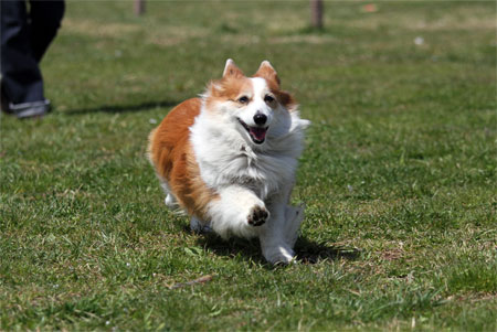 20120414_32.jpg