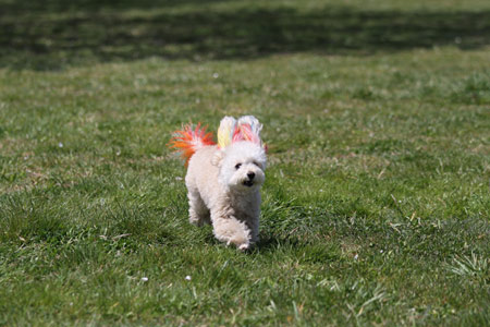 20120414_33.jpg